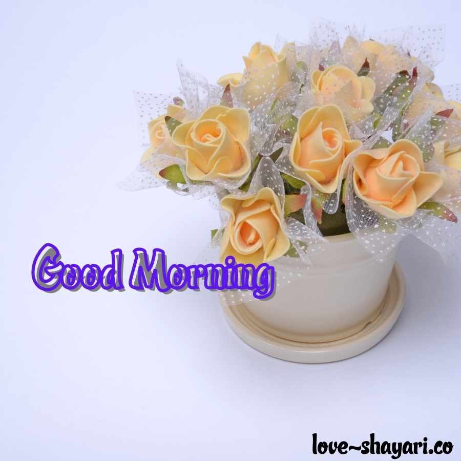 good morning images with flowers hd