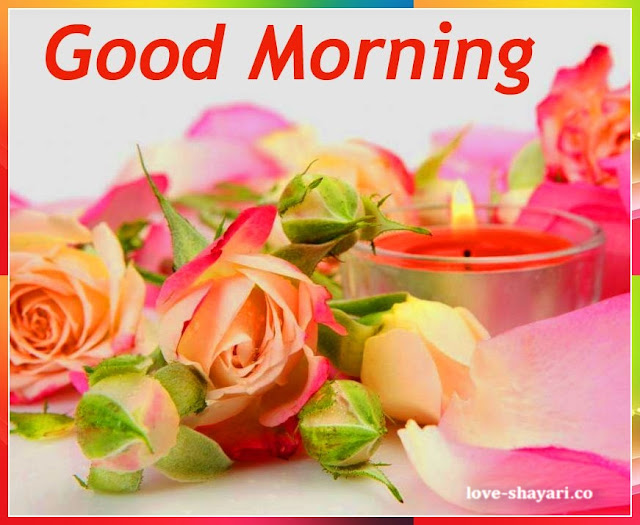 good morning flower images