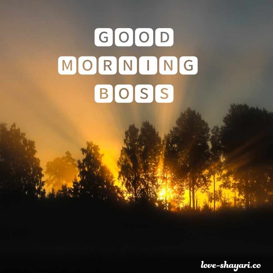 good morning you are great boss