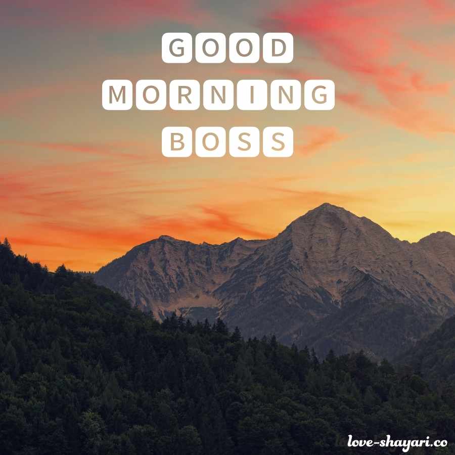 good morning wallpaper for boss