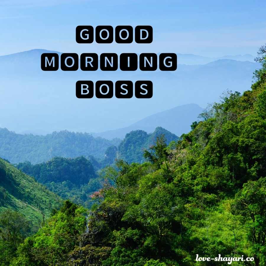 good morning greetings to boss