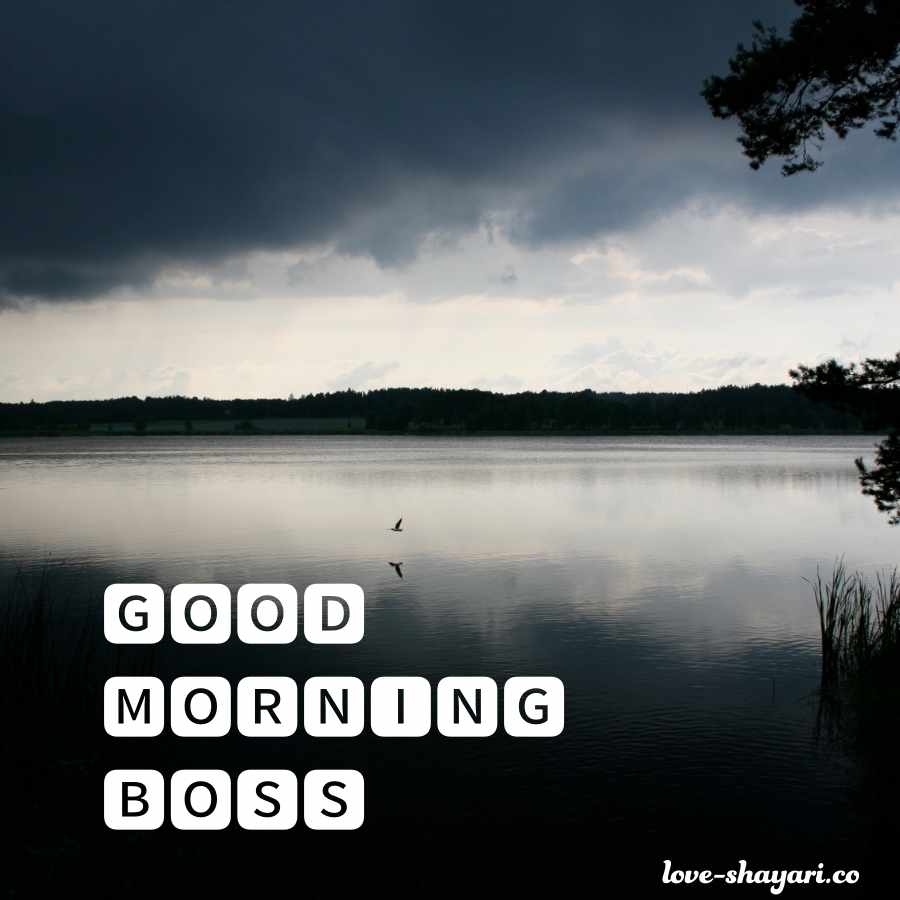 motivational good morning for boss