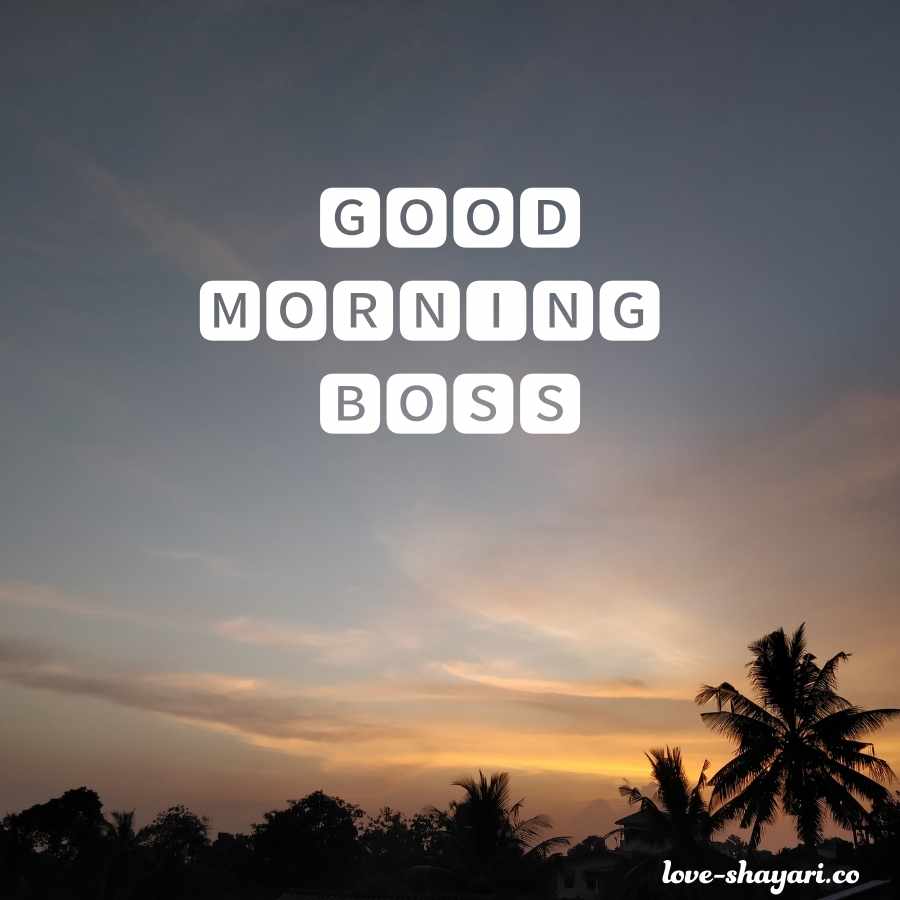 good morning you are great boss