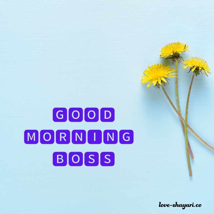 good morning boss hd images