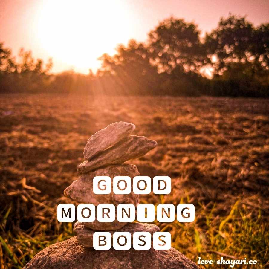 good morning have a nice day to boss