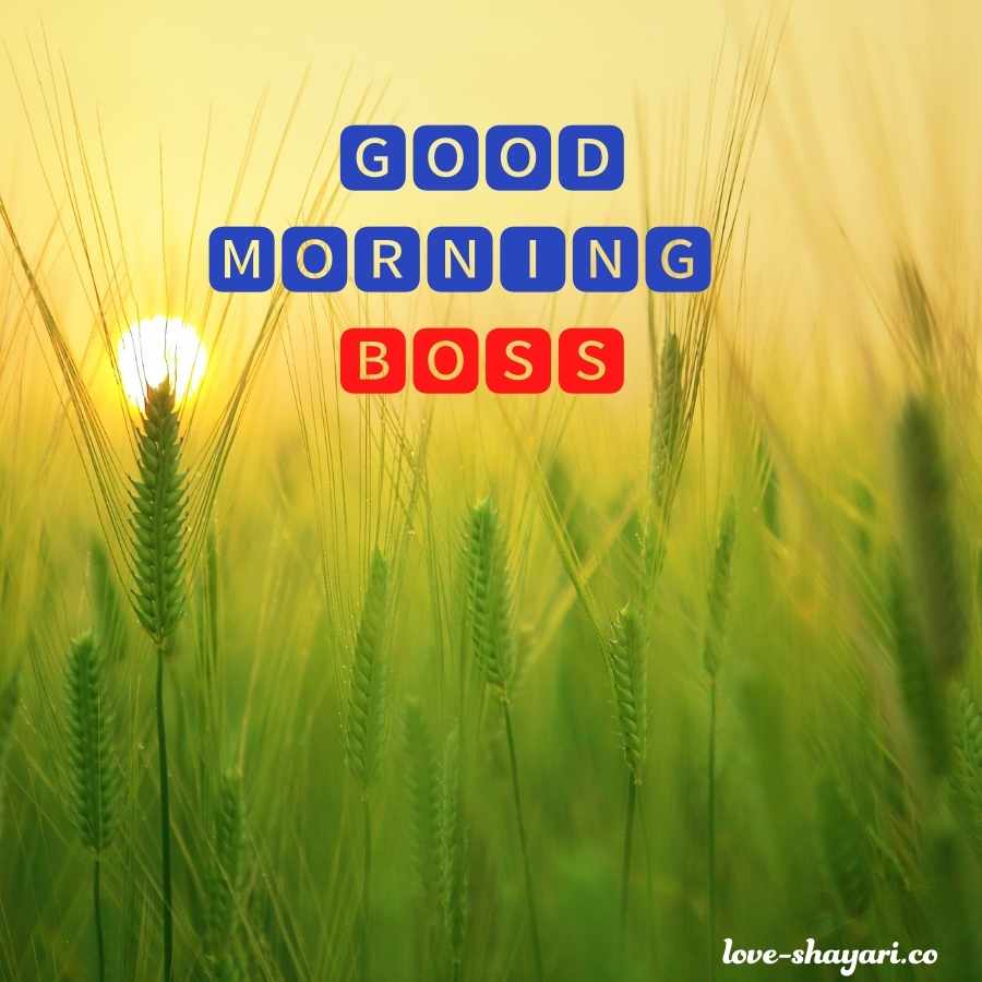 boss good morning