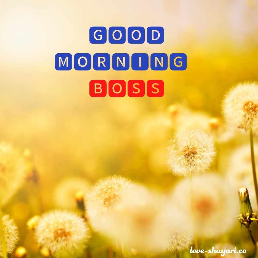 good morning boss images