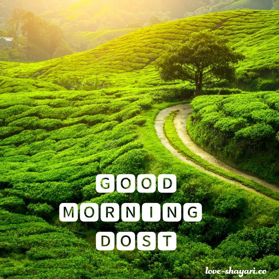 dost ke liye good morning