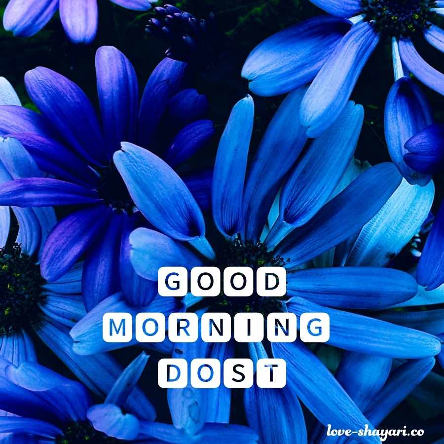 dgood morning dost