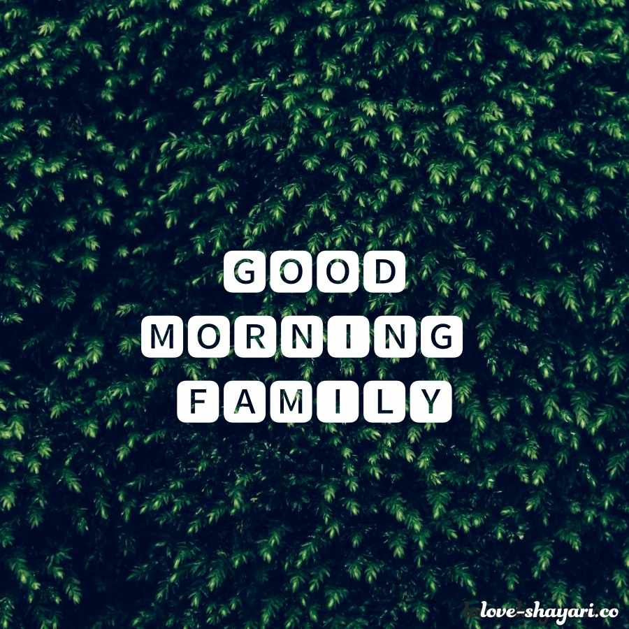 good morning my lovely family