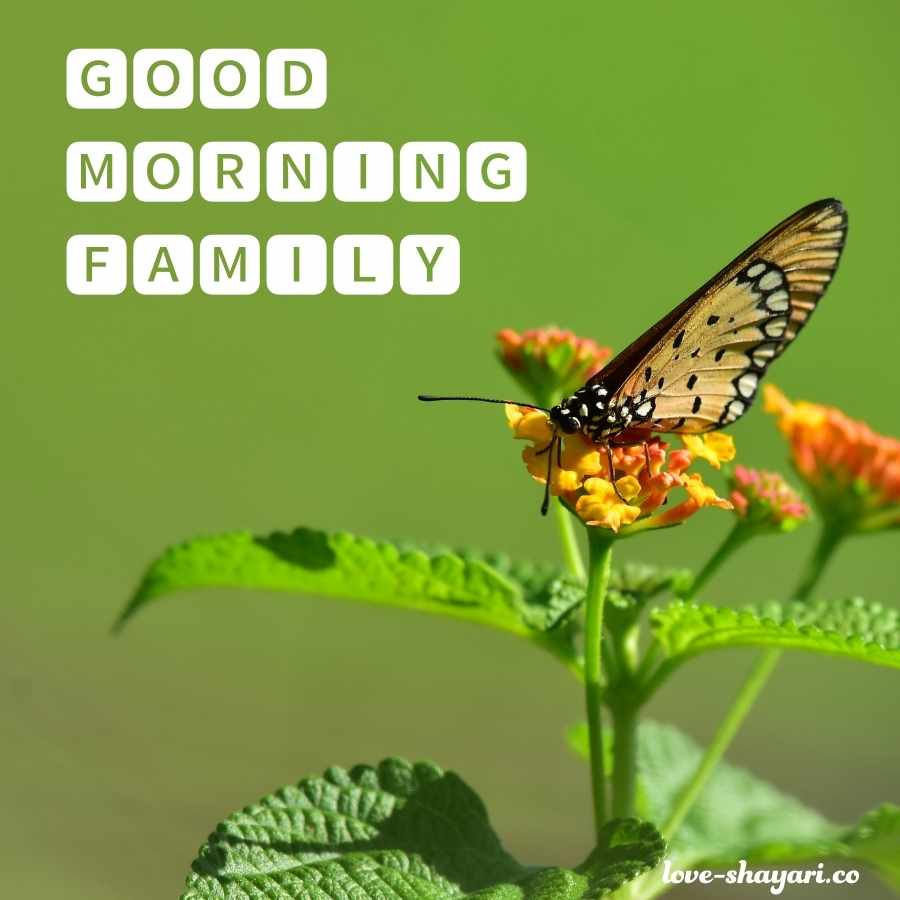 good morning for family