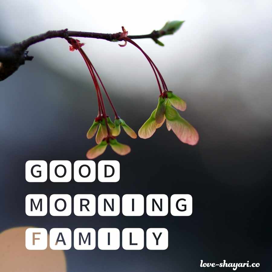 family morning images