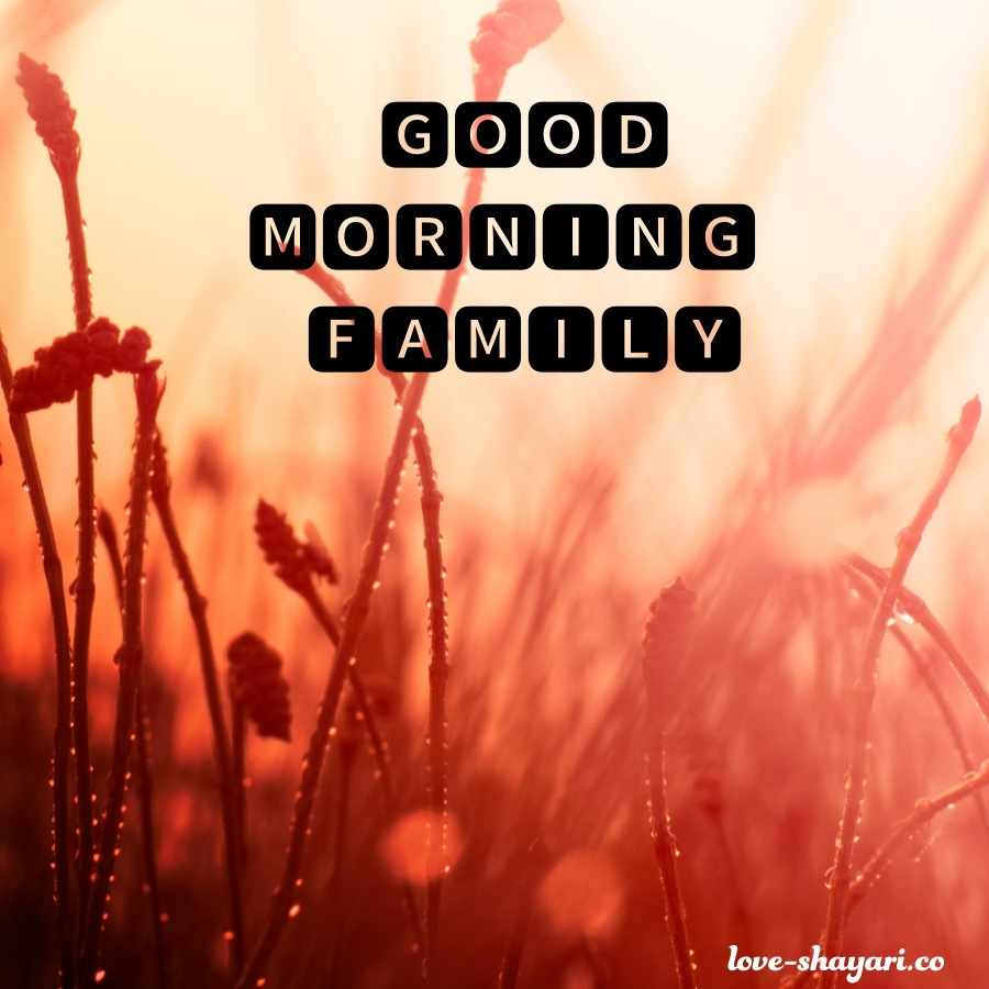 good morning family wallpaper