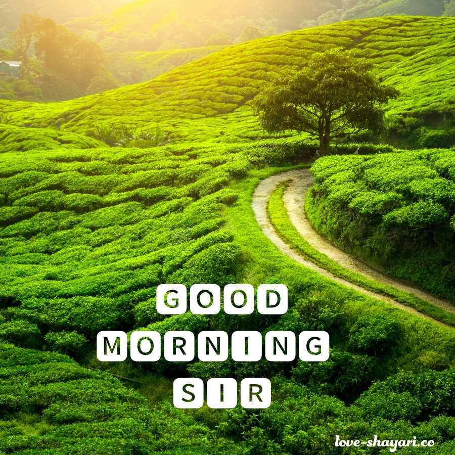 good morning sir ji image