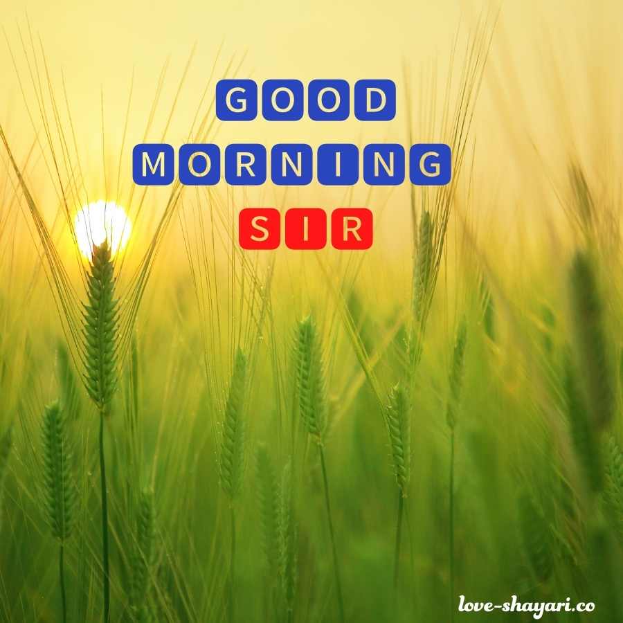 good morning sir in hindi