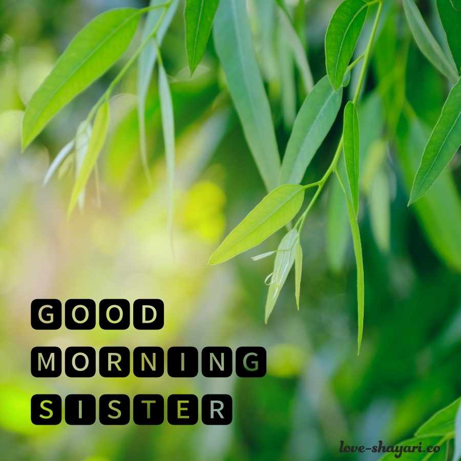 good mornning sister