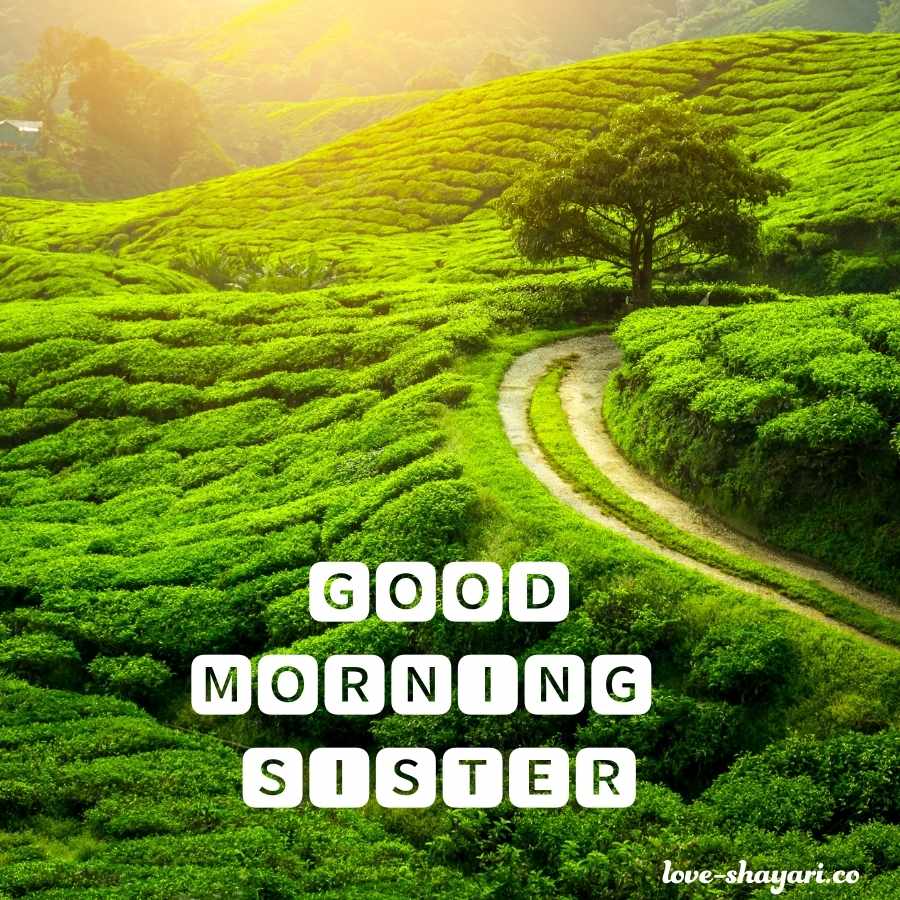 good morning my sister images