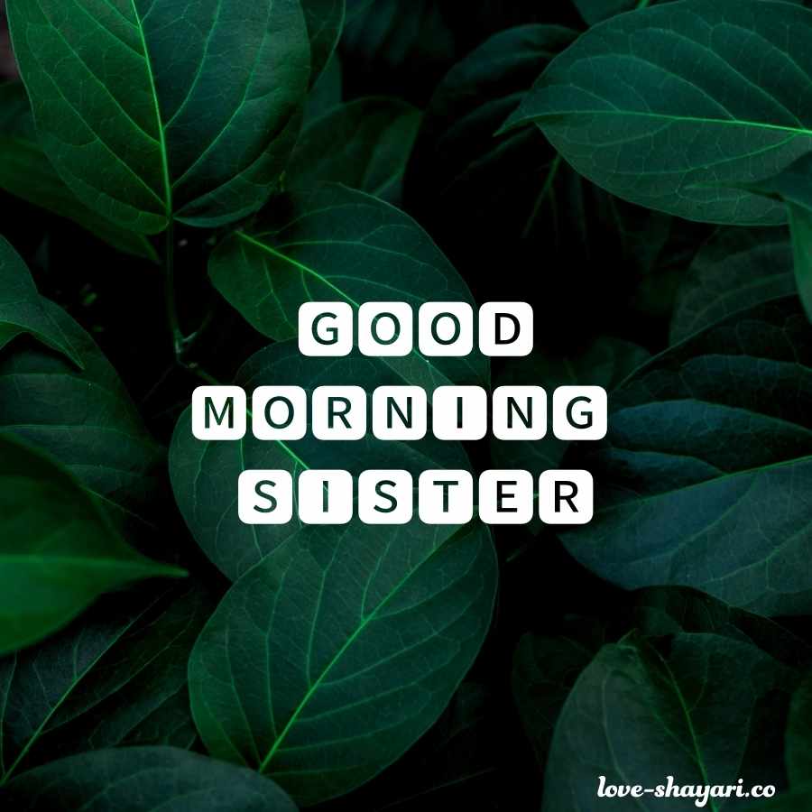 good morning cute sister