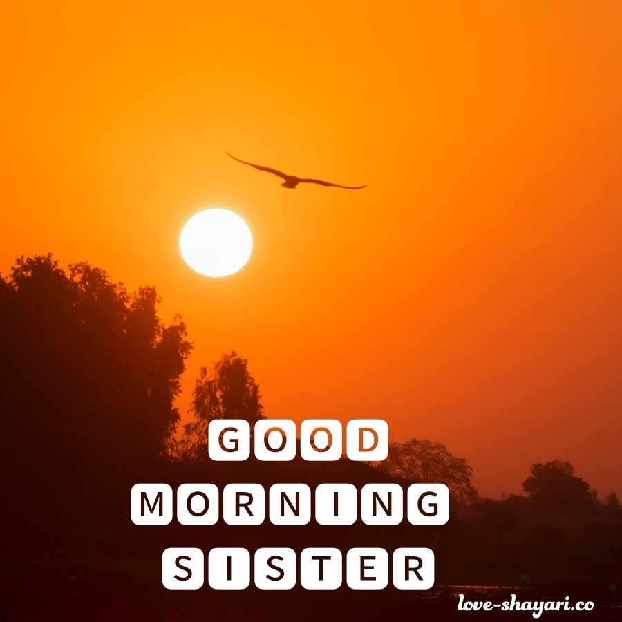 good morning my sister