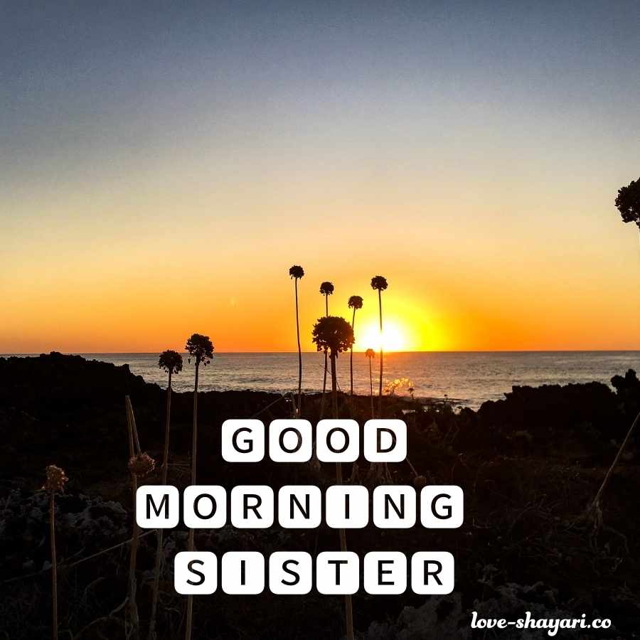 good morning wishes for sister