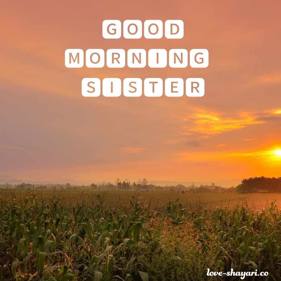 good morning sister i love you