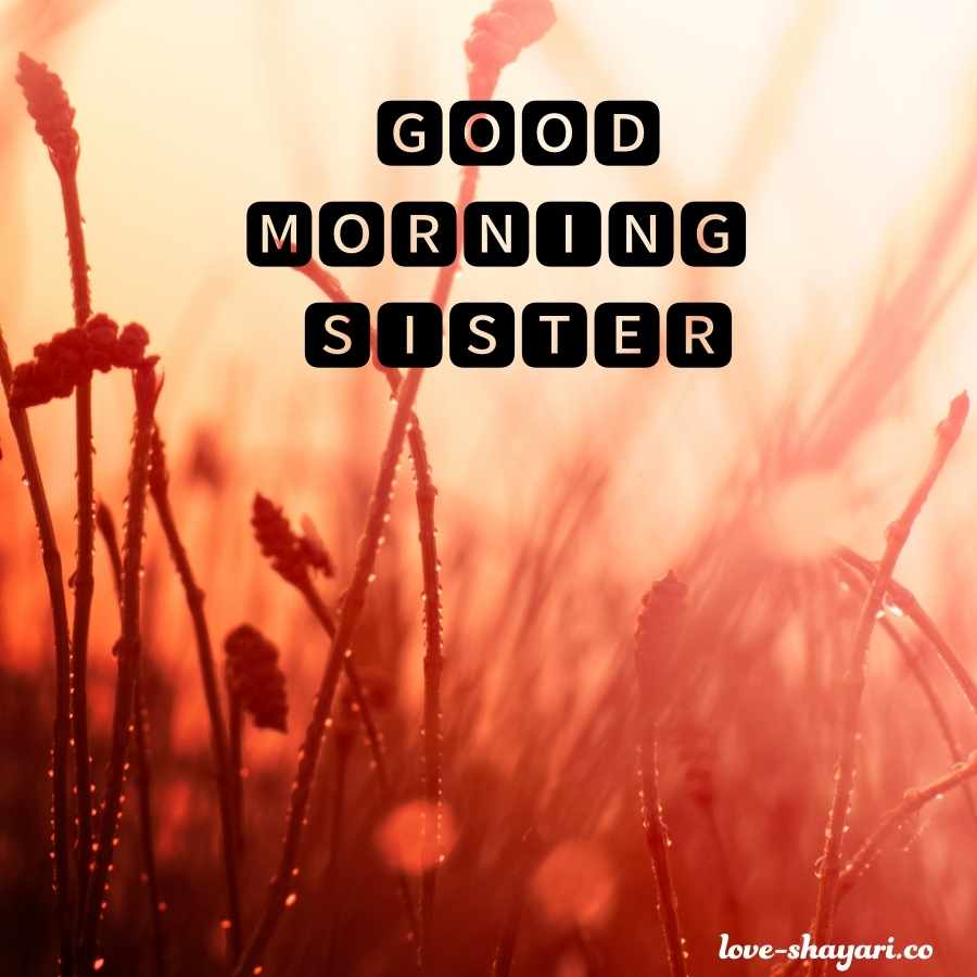 good morning wishes for sister