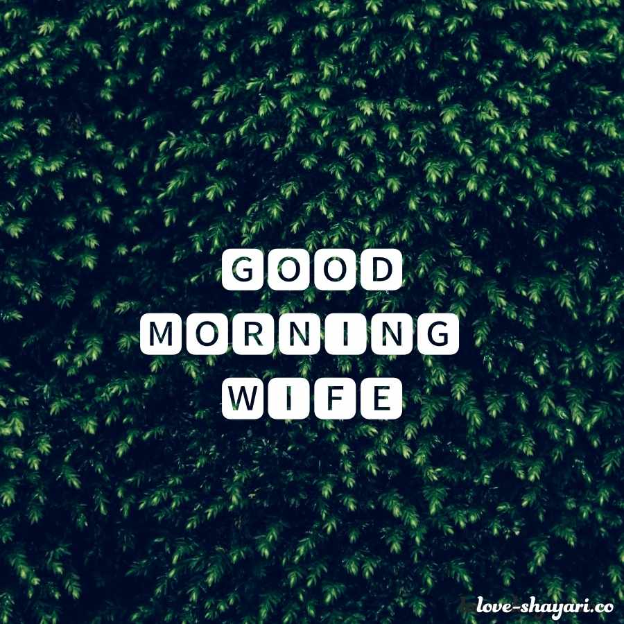 good morning husband wife