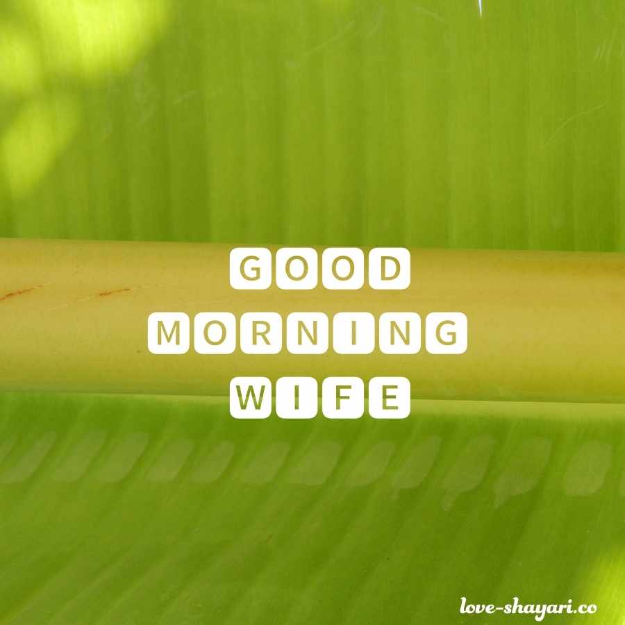 good morning for wife in hindi