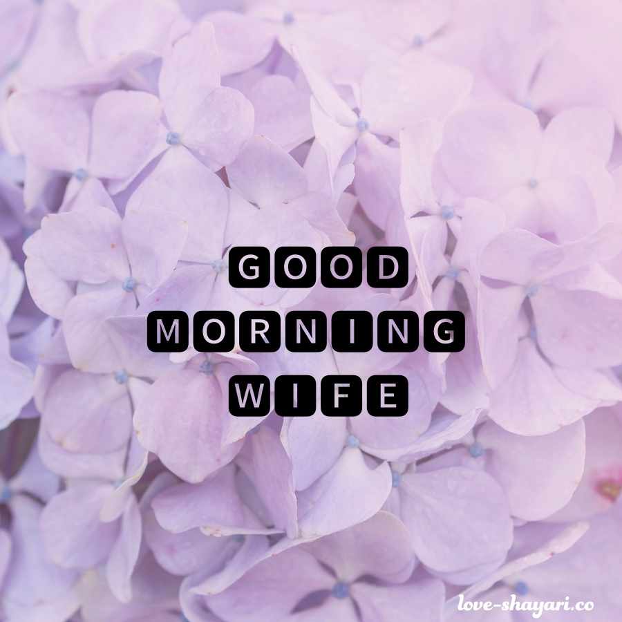 good morning wife in hindi