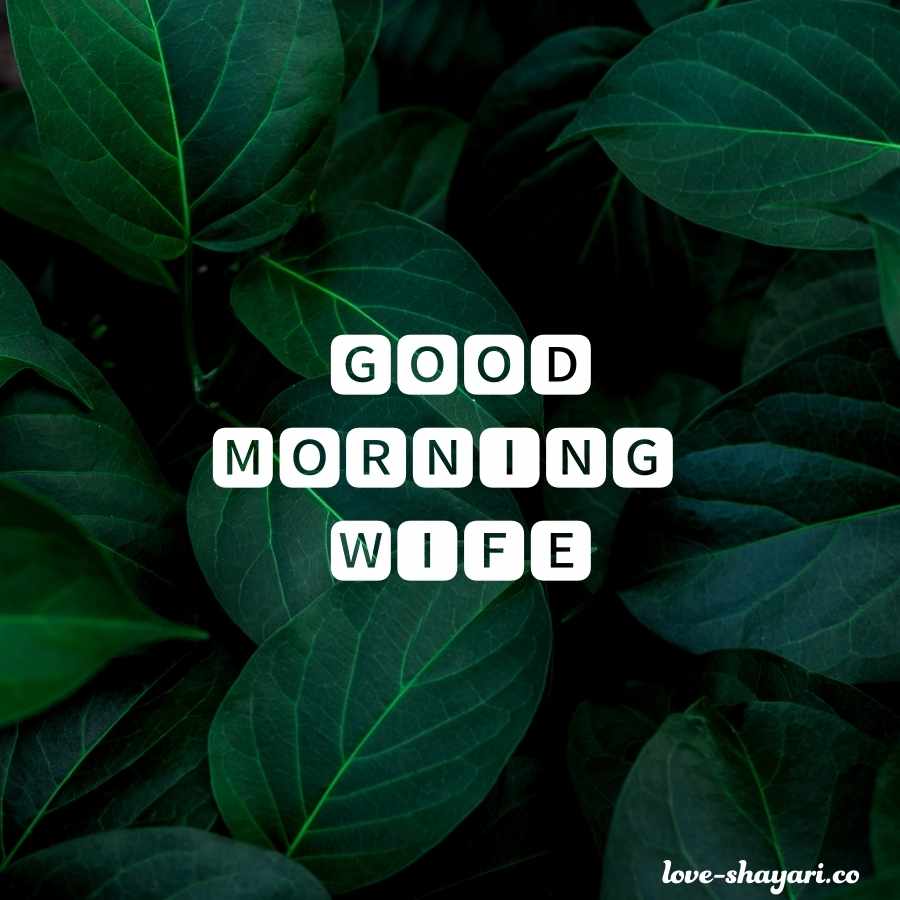 good morning sweet wife