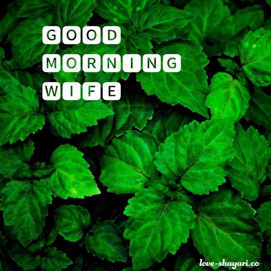 good morning images for wife in hindi