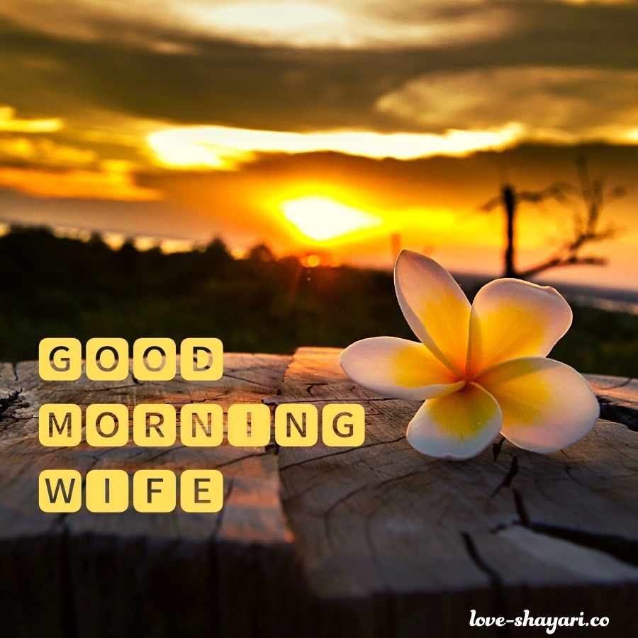 good morning dear wife images