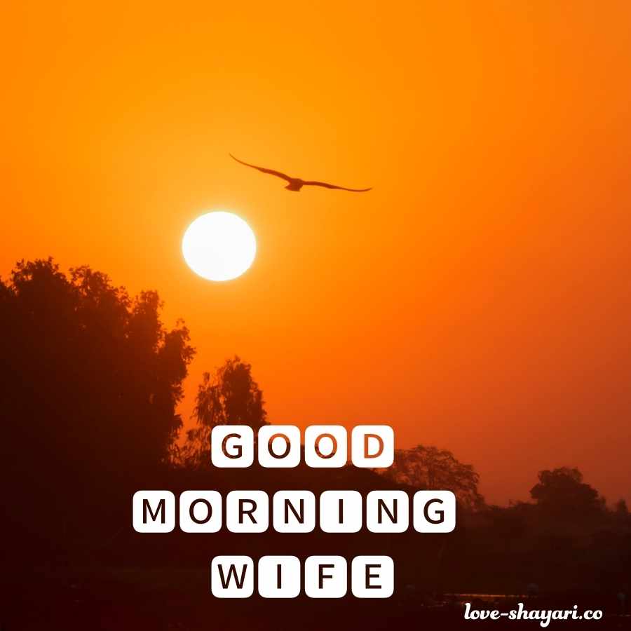 good morning images for wife