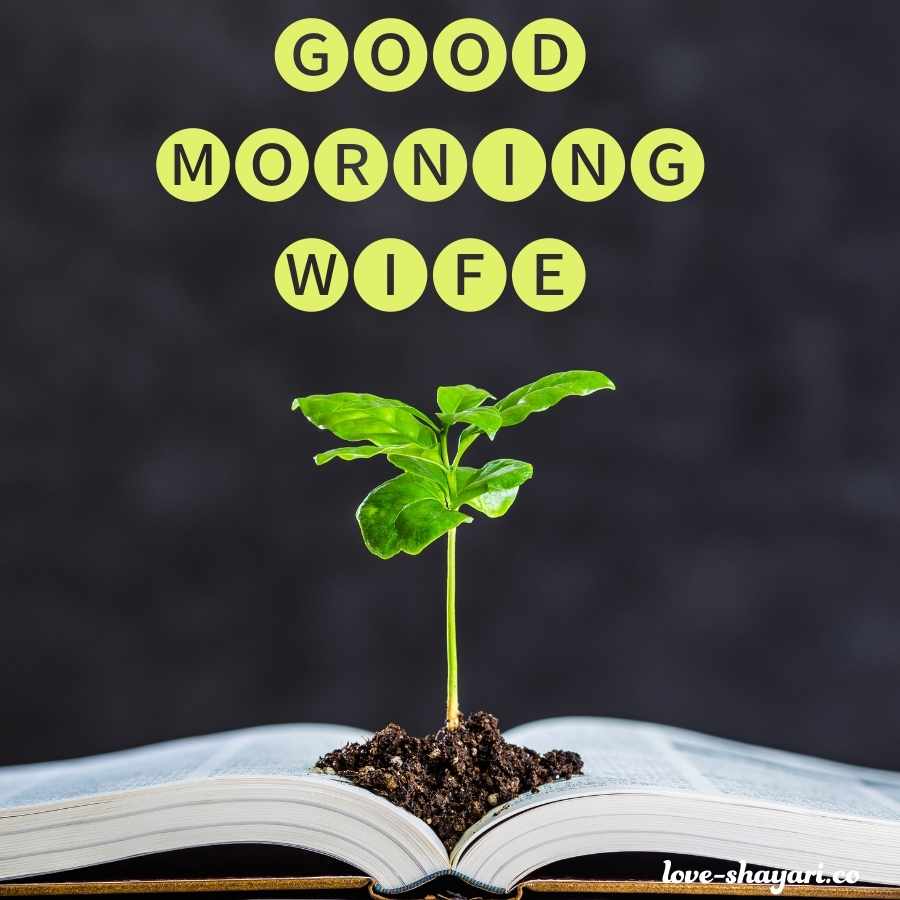 good morning for wife in hindi