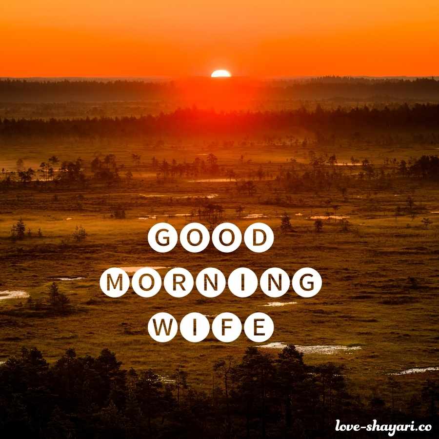 good morning wife in hindi