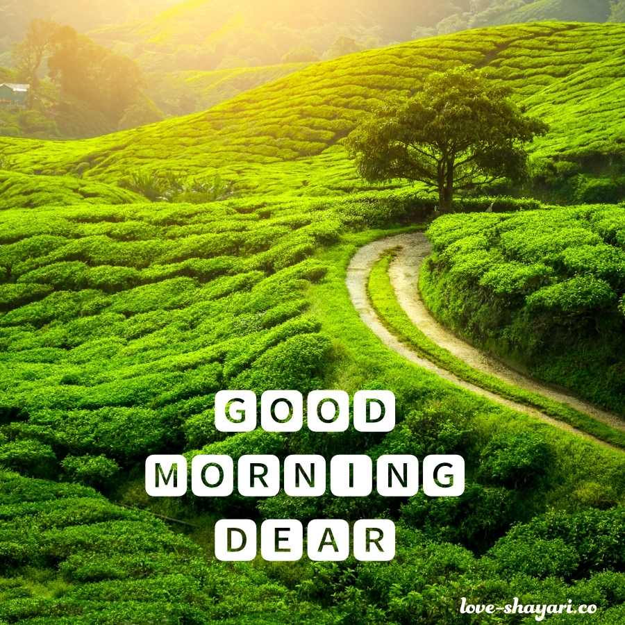 good morning dear image hd