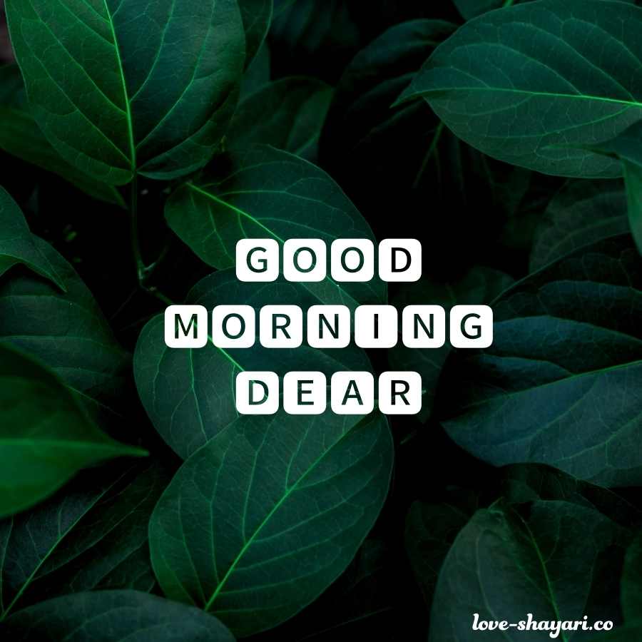 dear good morning images