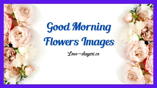 Good Morning Flowers Images