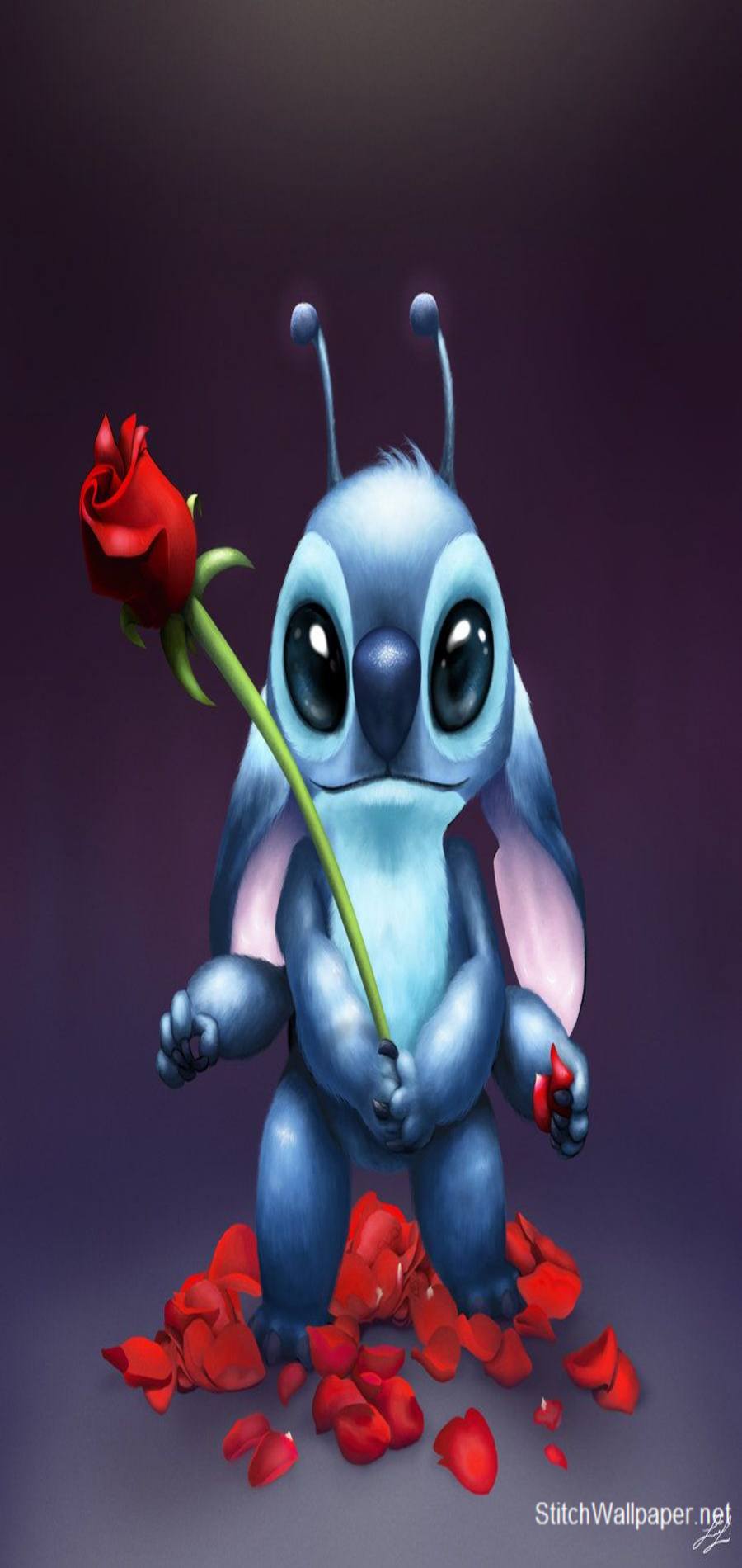 stitch wallpaper with rose
